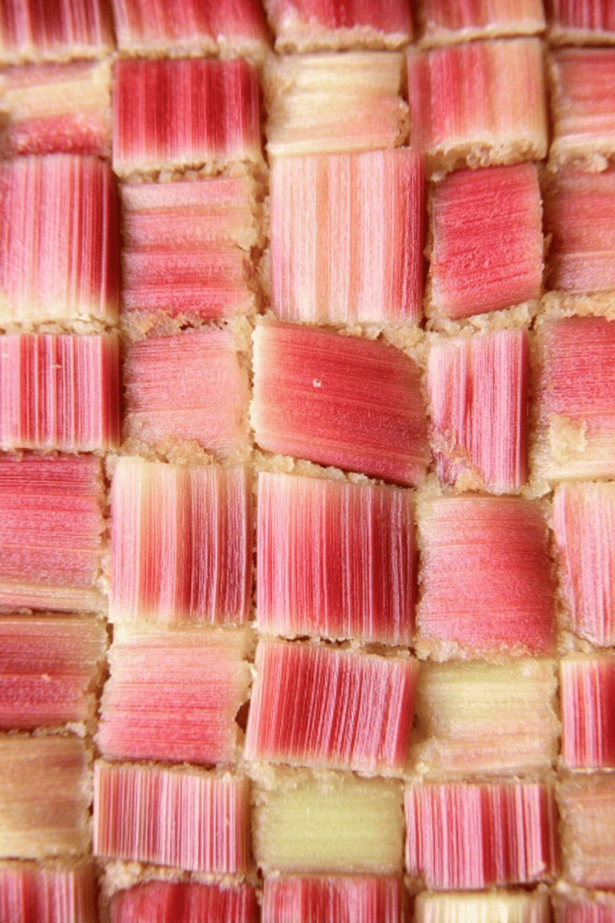 Rediscovering Grandma's Timeless Rhubarb Delights