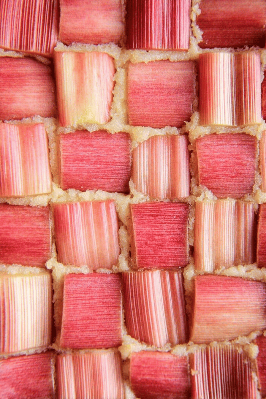 Rediscovering Grandma's Timeless Rhubarb Delights