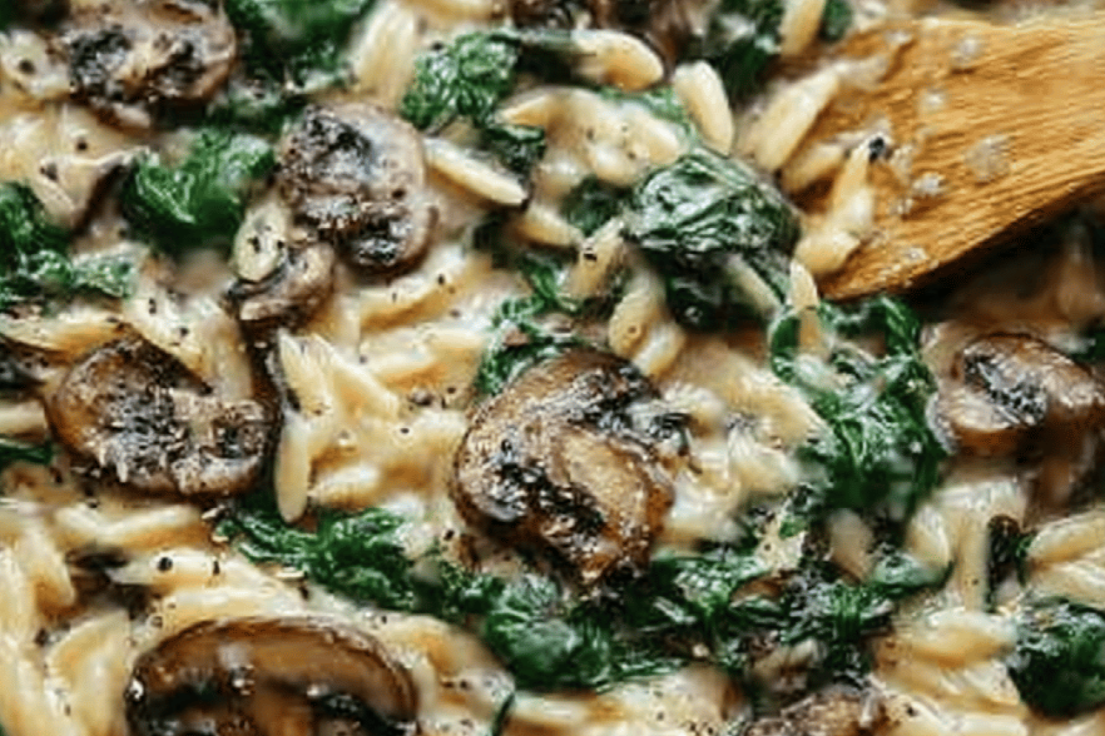 Easy Orzo Pasta with Mushrooms and Spinach – Perfect Meatless Dinner