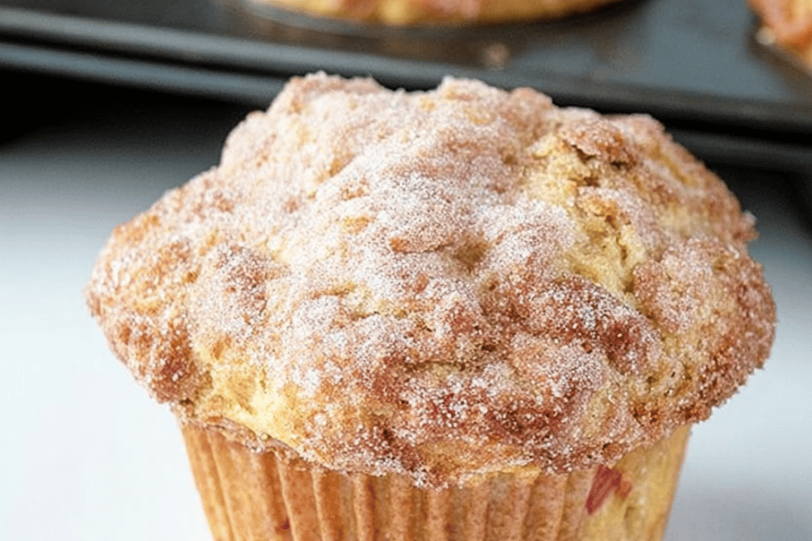 Rhubarb Greek Yogurt Muffins for Season