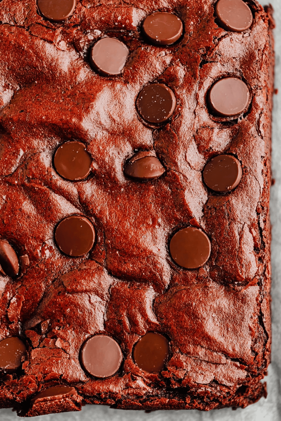 Triple Chocolate Fudgy Brownie Delight