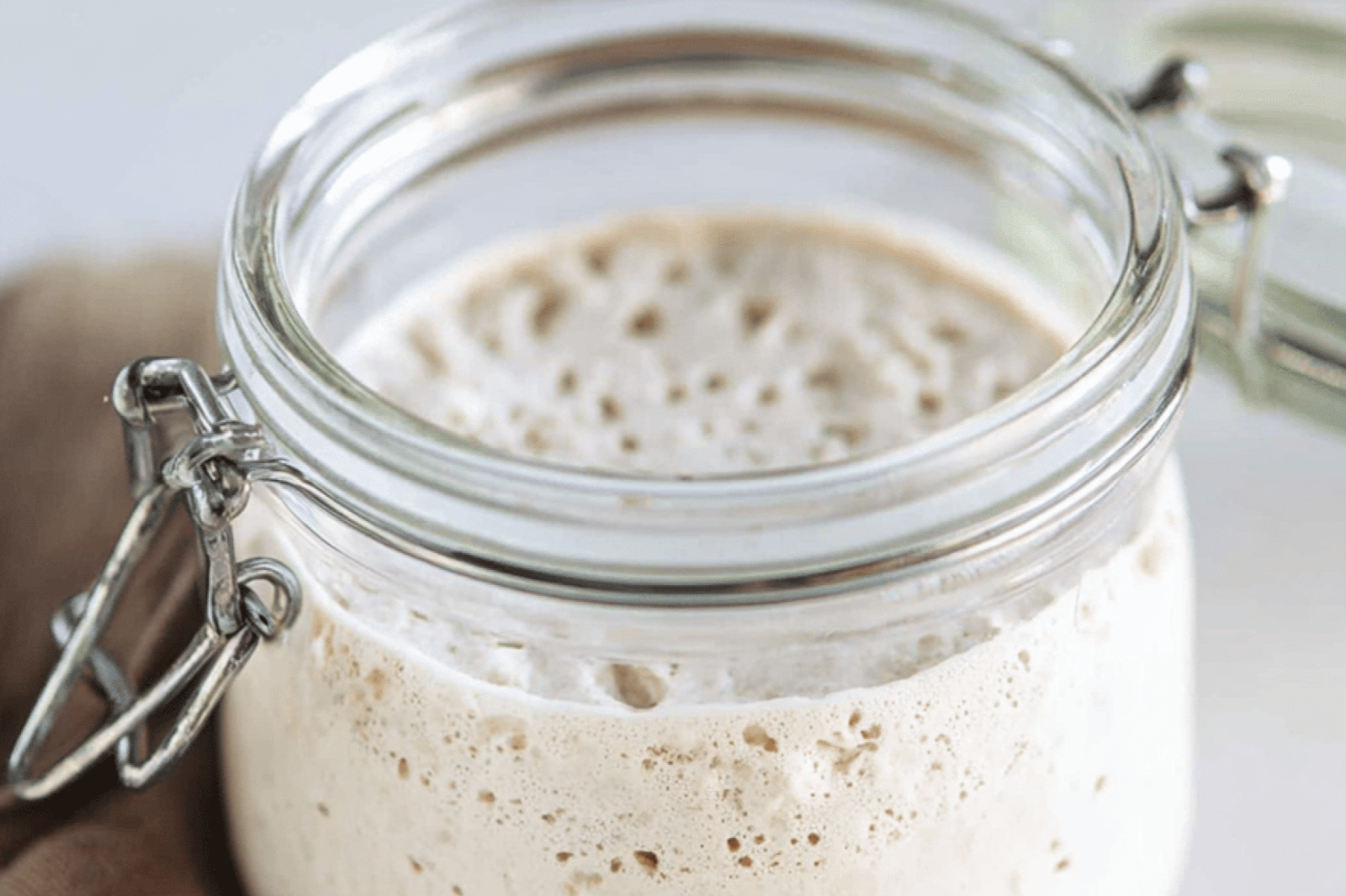 Easy Sourdough Starter Recipe for Beginners