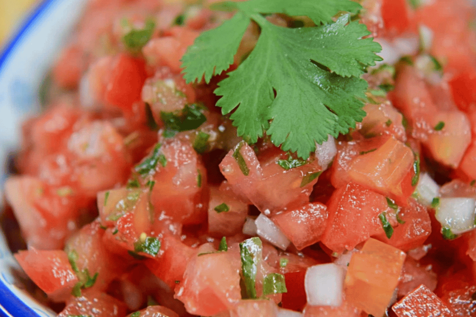 Fresh Tomato Salsa for Tortilla Chips
