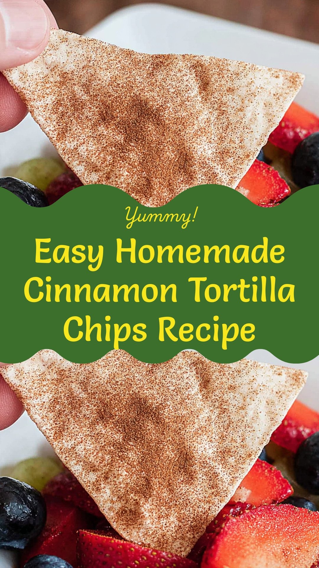 Easy Homemade Cinnamon Tortilla Chips Recipe