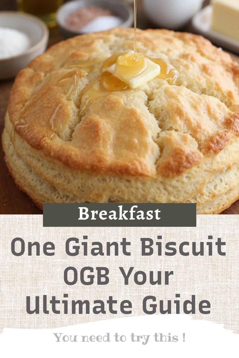 One Giant Biscuit OGB Your Ultimate Guide