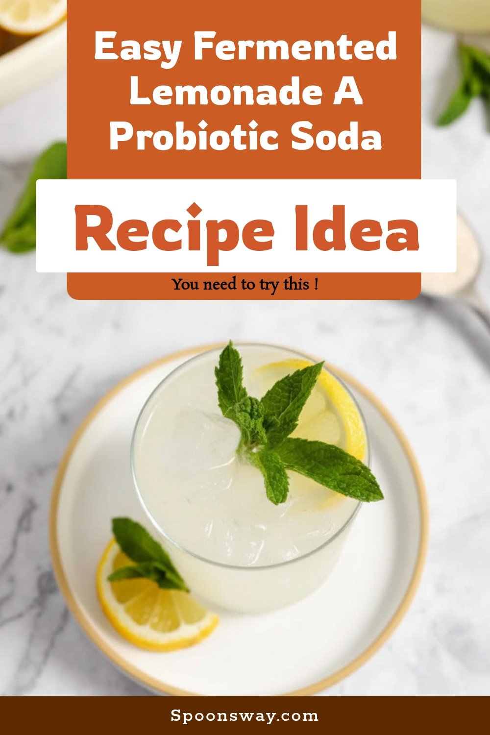 Easy Fermented Lemonade A Probiotic Soda