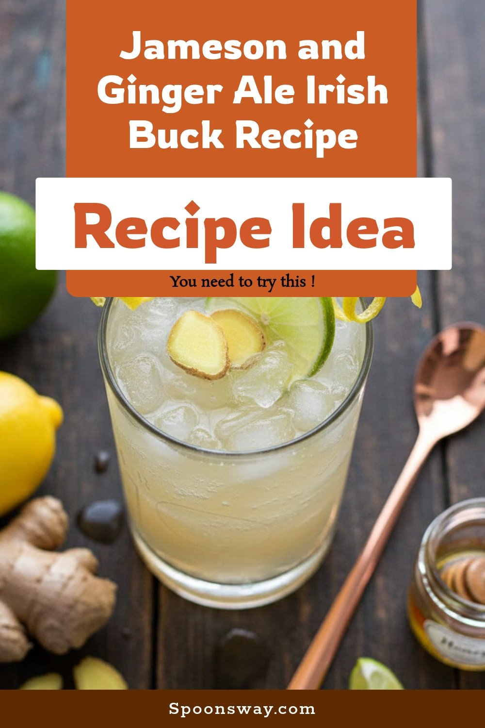 Jameson and Ginger Ale Irish Buck Recipe